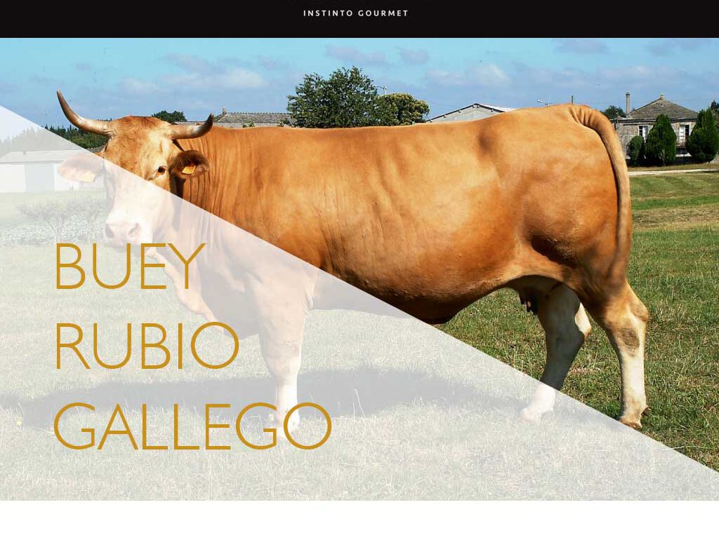 carne premium buey rubio gallego madrid