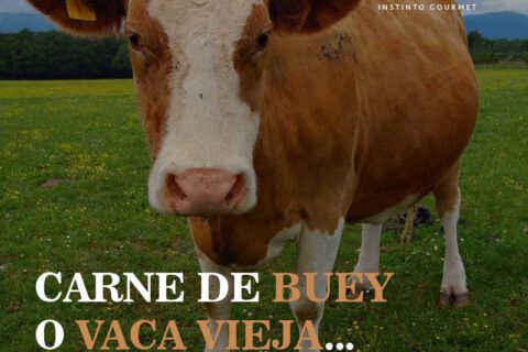 En que se diferencian la carne de Vaca Vieja y la de Buey