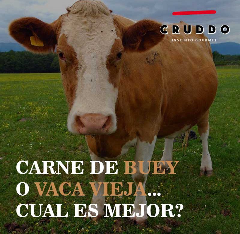 En que se diferencian la carne de Vaca Vieja y la de Buey