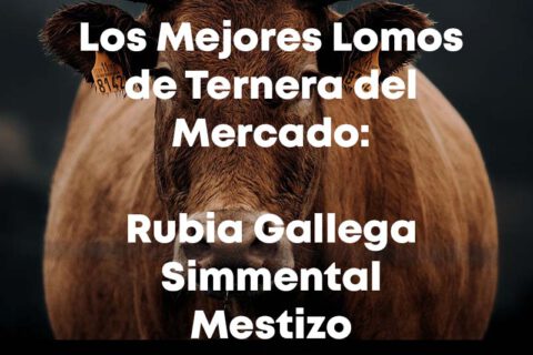 Los Mejores Lomos de Ternera del Mercado - Rubia Gallega, Simmental, Mestizo_