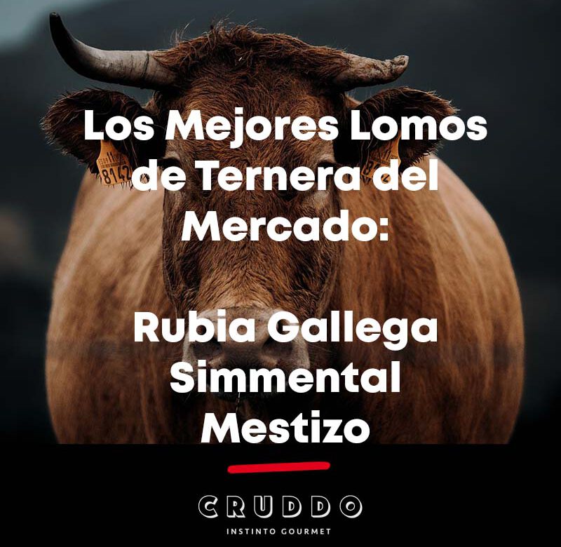 Los Mejores Lomos de Ternera del Mercado - Rubia Gallega, Simmental, Mestizo_